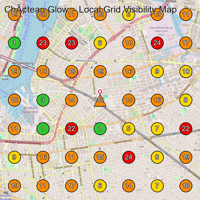 Château Glow Facial Spa GeoGrid ranking map for Brooklyn NY